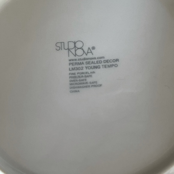 3 +1 Studio Nova Mikasa Young Tempo SALAD PLATES - Picture 7 of 8